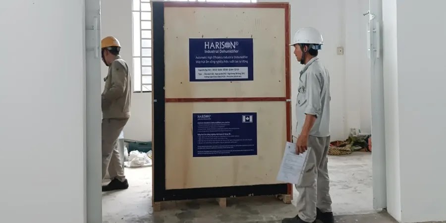 Trang chủ thanh tuu harison 3