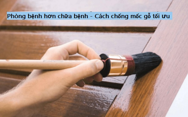 Cách diệt nấm mốc trên gỗ triệt để ai cũng làm được Phòng bệnh hơn chữa bệnh - Cách chống mốc gỗ tối ưu