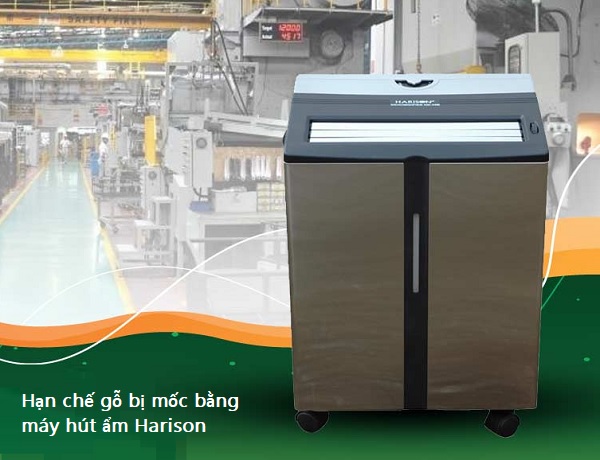 Cách diệt nấm mốc trên gỗ triệt để ai cũng làm được Hạn chế gỗ bị mốc bằng máy hút ẩm Harison