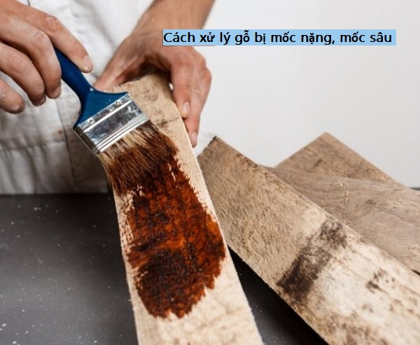 Cách xử lý gỗ bị mốc nặng, mốc sâu