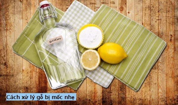 Cách diệt nấm mốc trên gỗ triệt để ai cũng làm được Cách xử lý gỗ bị mốc nhẹ