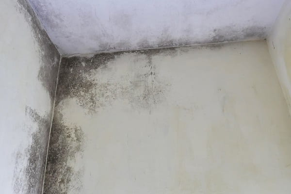 12 + Công Dụng Của Máy Hút Ẩm - Giải Pháp Cho Mùa Nồm Ẩm Dấu hiệu cần sử dụng máy hút ẩm