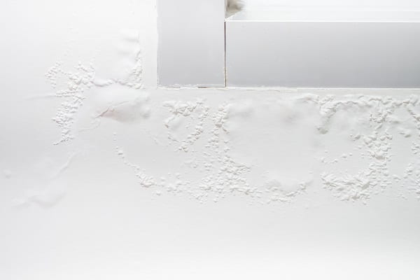 12 + Công Dụng Của Máy Hút Ẩm - Giải Pháp Cho Mùa Nồm Ẩm Sơn tường bị phồng rộp hoặc bong tróc từng mảng