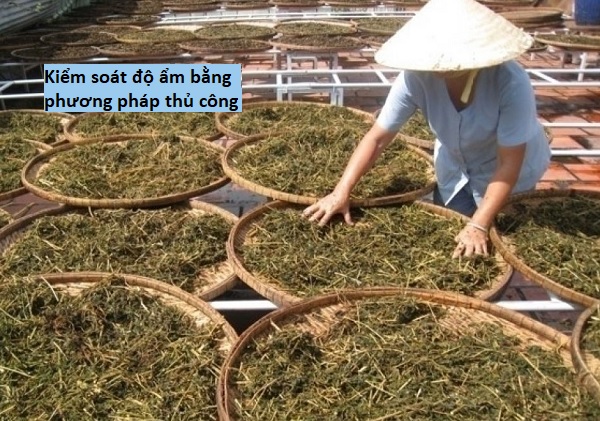 Kiểm soát độ ẩm dược liệu an toàn và đúng cách Kiểm soát độ ẩm dược liệu bằng phương pháp thủ công