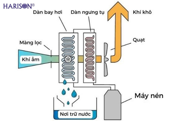 Nguyên lý hoạt động máy hút ẩm ngưng tụ